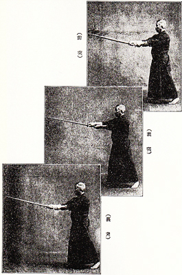 Kihon tsuki by Takano hanshi